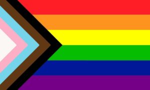 new pride flag progress 300x180